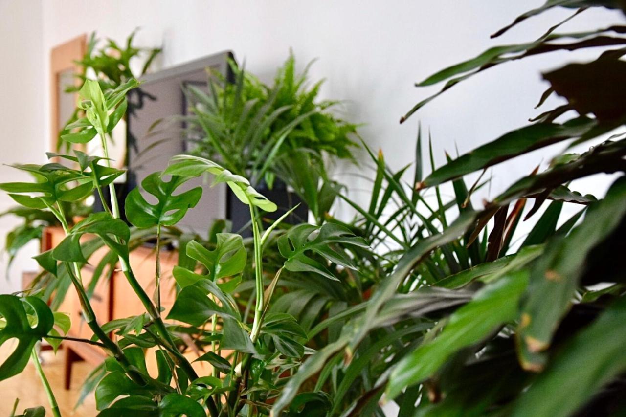 Greenbnbs: Cozy Urban Jungle In The City Centre Essen Exterior foto