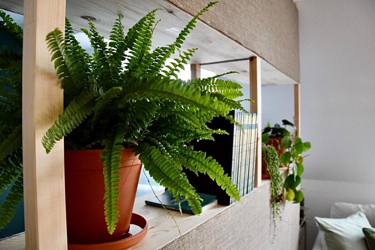 Greenbnbs: Cozy Urban Jungle In The City Centre Essen Exterior foto